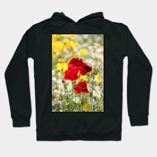 Poppy portrait Hoodie